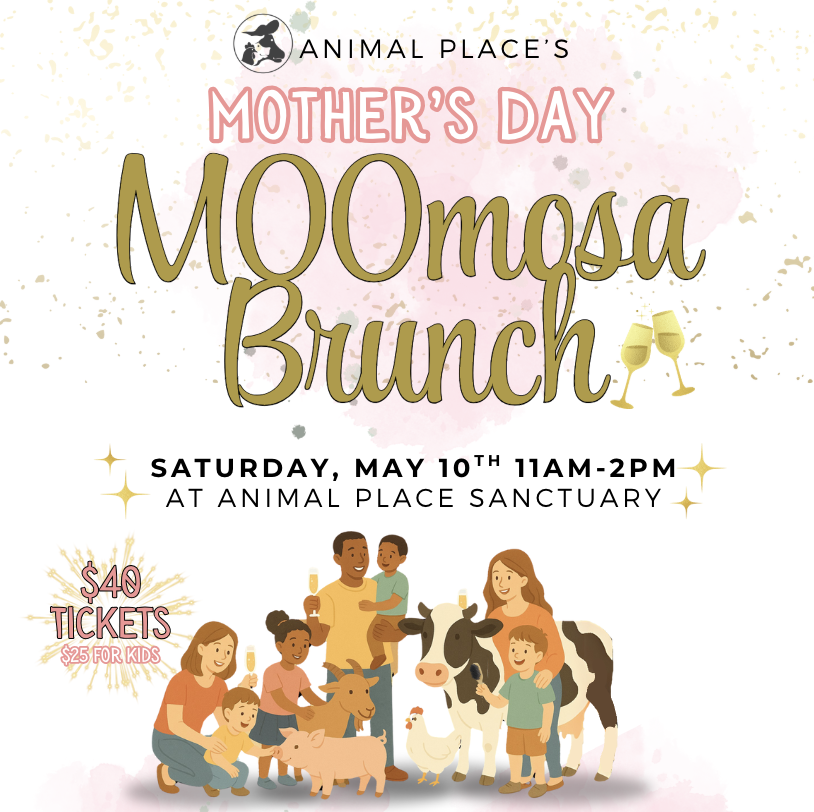 Screenshot 2025-04-09 at 8.19.28 AM